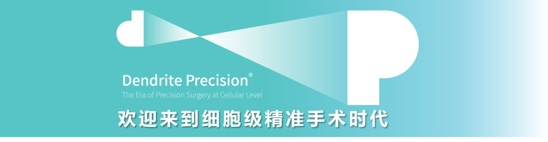 第四屆華南神經(jīng)外科論壇聚焦EndoSCell?，細(xì)胞級(jí)熒光導(dǎo)引技術(shù)精準(zhǔn)定位腫瘤邊界(圖1)